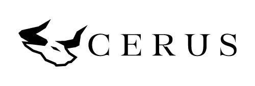 carousel logo 7